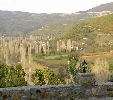 Mirihos Vlasti